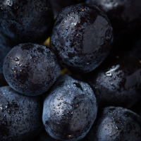 Black Grape