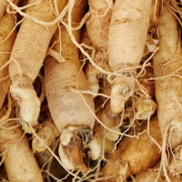Ginseng
